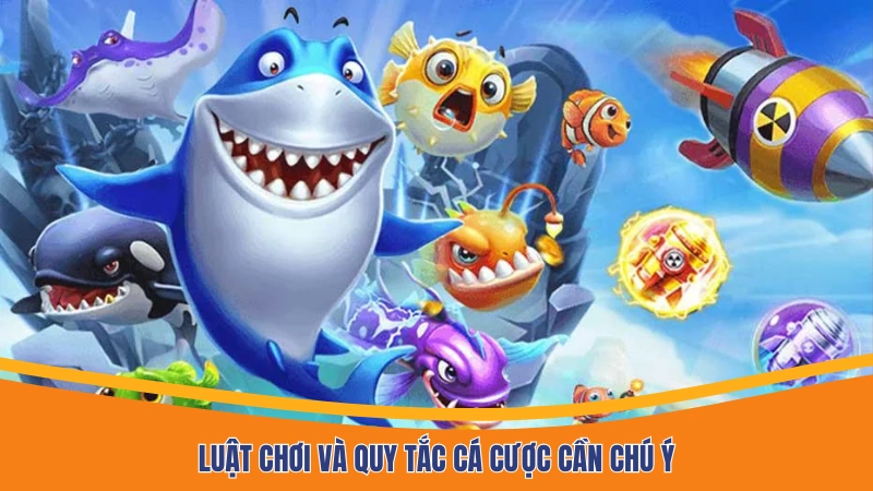 Luật chơi và quy tắc cá cược cần chú ý Luật chơi và quy tắc cá cược cần chú ý