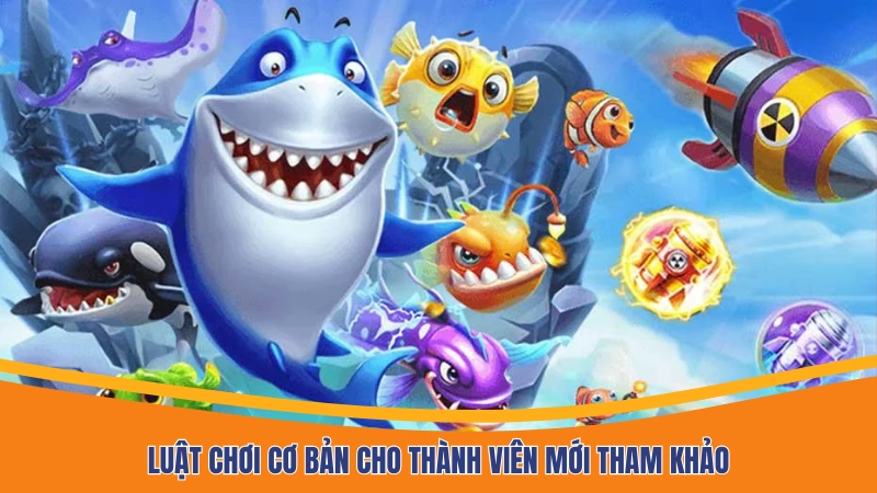 Luật chơi cơ bản cho thành viên mới tham khảo Luật chơi cơ bản cho thành viên mới tham khảo
