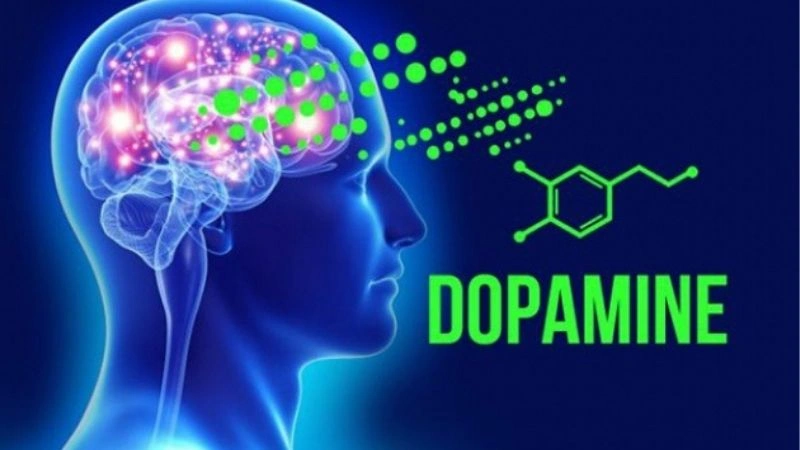 Hiệu ứng Dopamine và sự hình thành thói quen Hiệu ứng Dopamine và sự hình thành thói quen