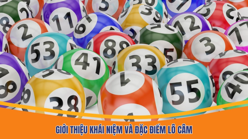 Giới thiệu khái niệm và đặc điểm lô câm Giới thiệu khái niệm và đặc điểm lô câm