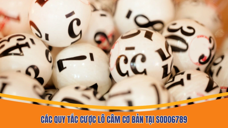 Các quy tắc cược lô câm cơ bản tại Sodo6789 Các quy tắc cược lô câm cơ bản tại Sodo6789