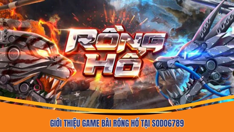 Giới thiệu game bài Rồng Hổ tại Sodo6789 Giới thiệu game bài Rồng Hổ tại Sodo6789