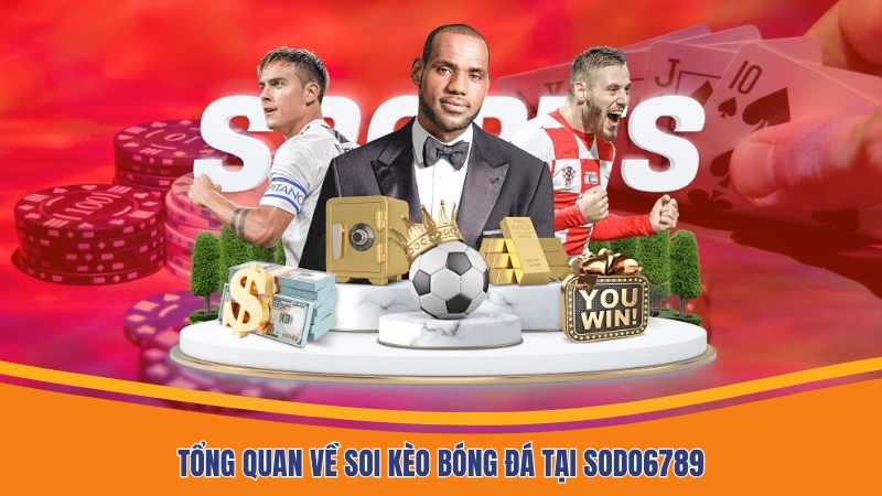 Tổng quan về soi kèo bóng đá tại Sodo6789 Tổng quan về soi kèo bóng đá tại Sodo6789
