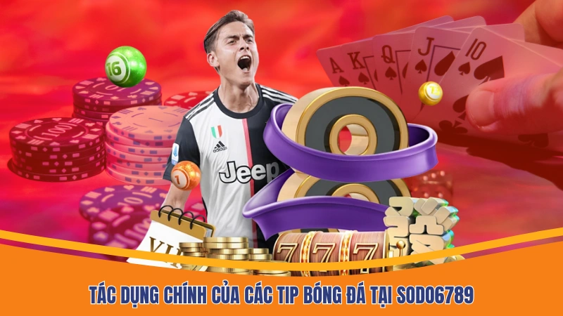 Tác dụng chính của các tip bóng đá tại Sodo6789 Tác dụng chính của các tip bóng đá tại Sodo6789